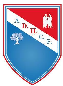 Atlético Dos Hermanas FÚTBOL Reconocimiento a una buena temporada de la cantera del Atlético Dos Hermanas con algunos ascensos, como los de los equipos juvenil e infantil.