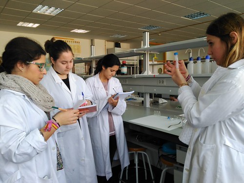 IES Galileo Galilei en la final de un concurso internacional de ciencia