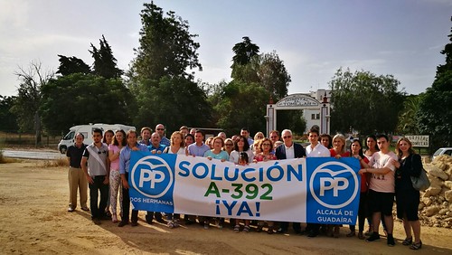 El PP pide que se complete el desdoble de la A-392
