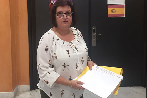partido popular maricarmen espada ordenanza municipal