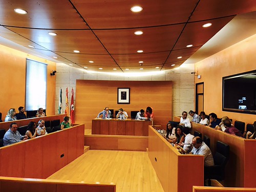 Pleno del Ayuntamiento del mes de julio