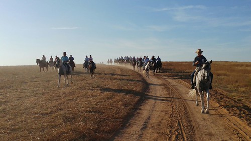 Marcha a caballo a la Ermita de Valme en Cuarto
