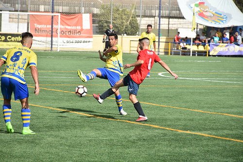 Fútbol 1º Andaluza PD Rociera y Los Palacios