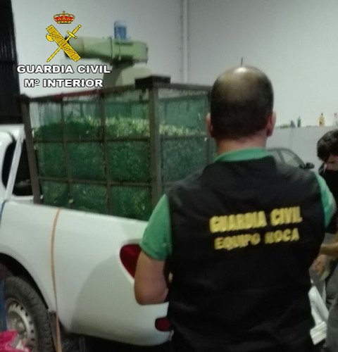 Guardia Civil robo de aceitunas en Arahal