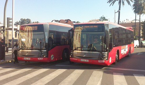 Autobuses urbanos en El Arenal