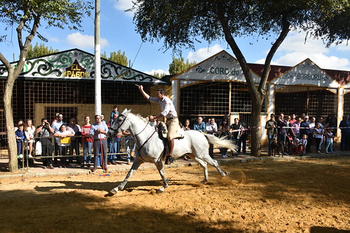 Carrera de cintas a caballo de la Hermandad del Rocío