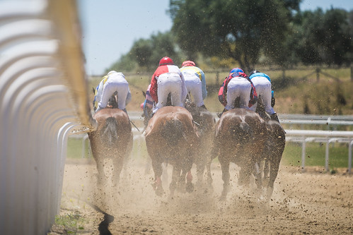 tercera jornada de carreras de caballos de la temporada de primavera (3)