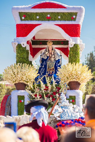 Fotos ganadoras del Concurso de la Romería de Valme del Ayuntamiento