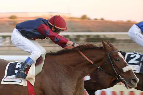 Primera jornada de carreras de caballos en el hipódromo de otoño