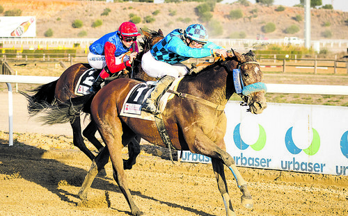 Carreras de Caballos temporada de otoño en el hipódromo de Dos Hermanas