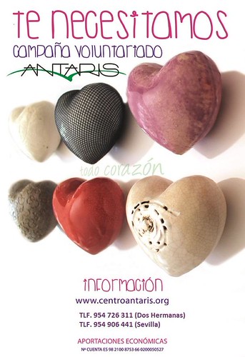 Cartel Antaris voluntariado
