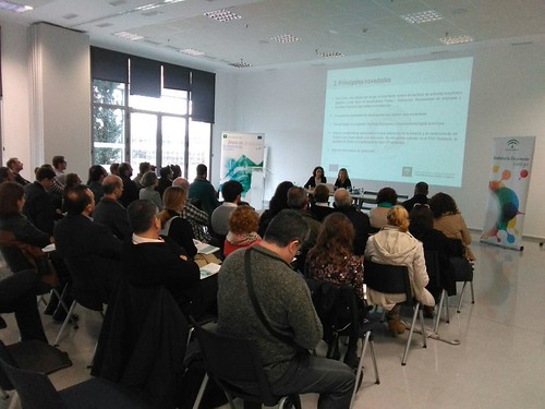 Presentación de los incentivos empresariales de la Agencia Idea