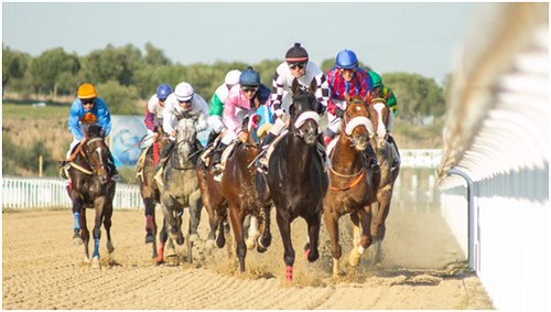 Carreras de caballo de la temporada de otoño-invierno en el hipódromo