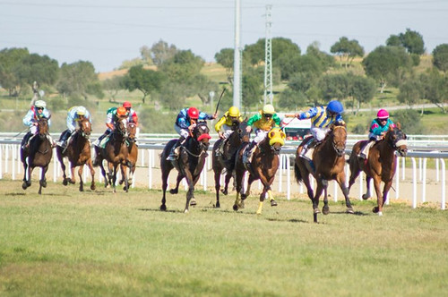 Carreras de caballos en el hipódromo de Dos Hermanas