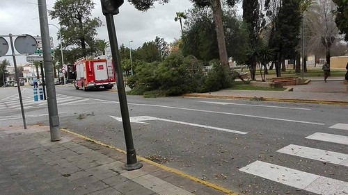 Incidencias por el temporal de viento en Dos Hermanas. Fotos SAB Dos Hermanas