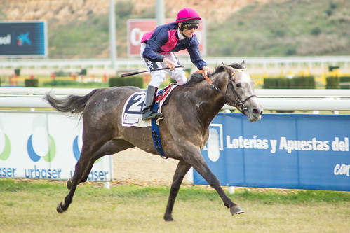Carreras de caballos temporada de invierno hipódromo de dos hermanas domingos