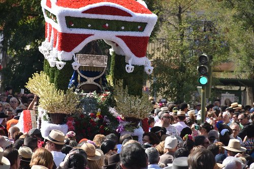 Romería de Valme (105)