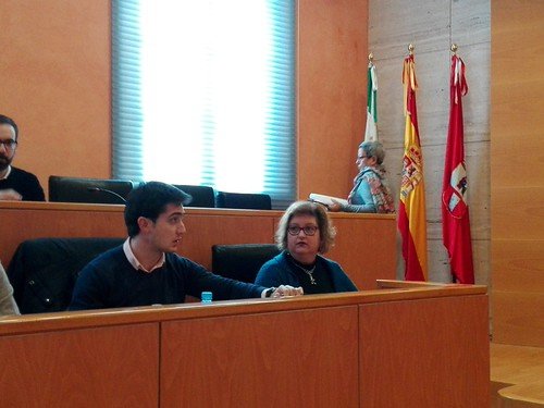 La portavoz del PP Mª Carmen Espada en el pleno