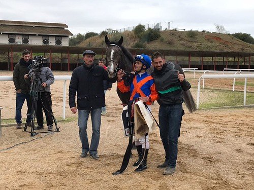 Carreras de caballos en el hipódromo 1º domingo de 2018