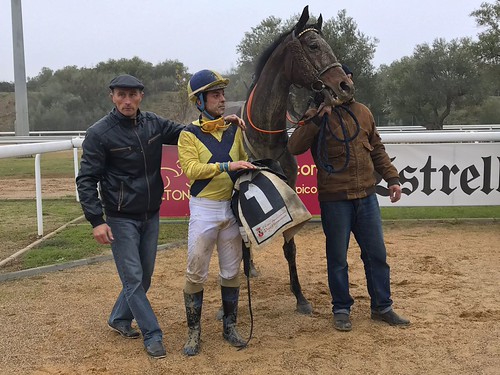 Carreras de caballos hipódromo de Dos Hermanas temporada de invierno domingo 14 de enero