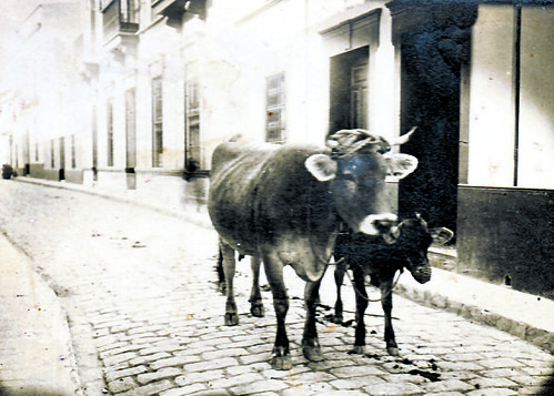 La calle del Canónigo (I)