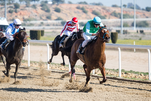 Carreras de caballos en el hipódromo de Dos Hermanas temporada de invierno