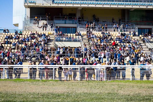 carreras de caballos en el hipódromo de Dos Hermanas temporada de invierno