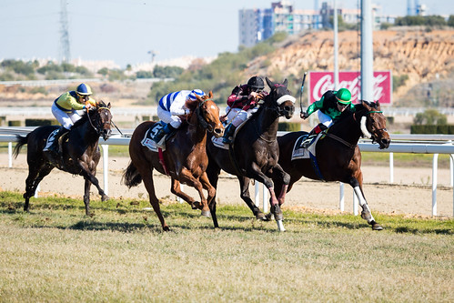 Carreras de caballos en el hipódromo de Dos Hermanas temporada de invierno