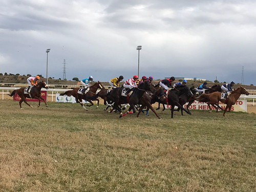 Carreras de caballos en el hipódromo temporada de invierno