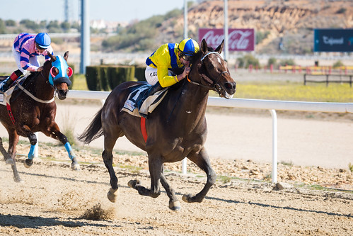 Carreras de caballos hipódromo de Dos Hermanas temporada de invierno