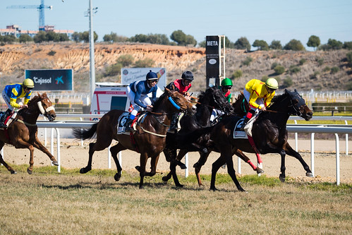 Carreras de caballos en el hipódromo de Dos Hermanas temporada de invierno