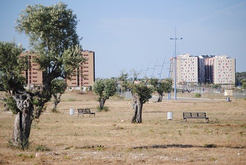 Zona residencial del Tercer Plan Municipal de la Vivienda en Entrenúcleos