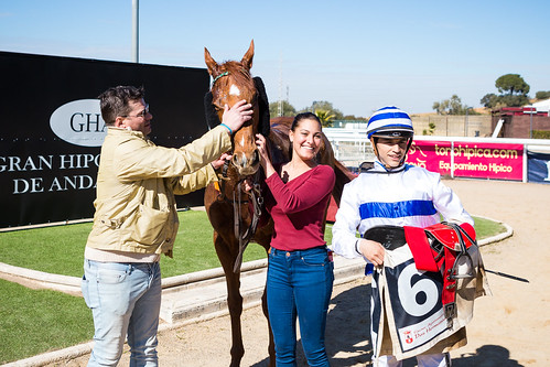 carreras de caballos en el hipódromo de Dos Hermanas temporada de invierno