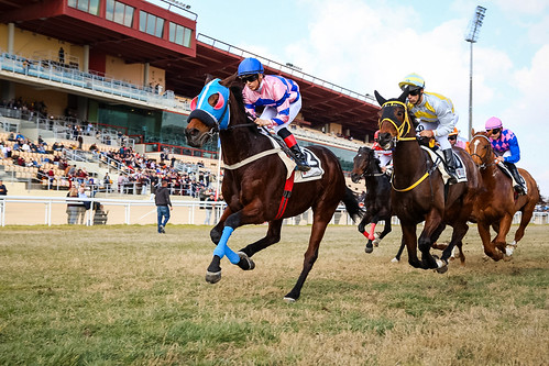 Carreras de caballos última jornada de la temporada de invierno hipódromo de Dos Hermanas