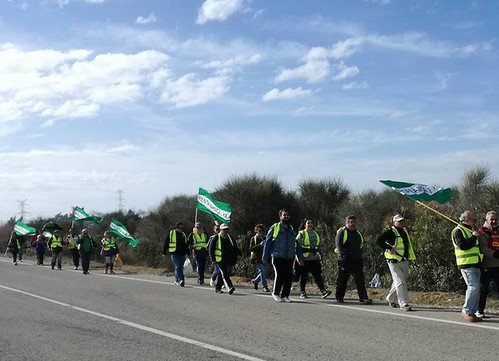 Marcha de caminantes por la Renta Básica de Utrera a Dos Hermanas