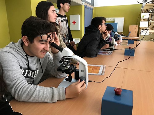 Alumnado del IES Galileo Galilei en las Olimpiadas de Geología