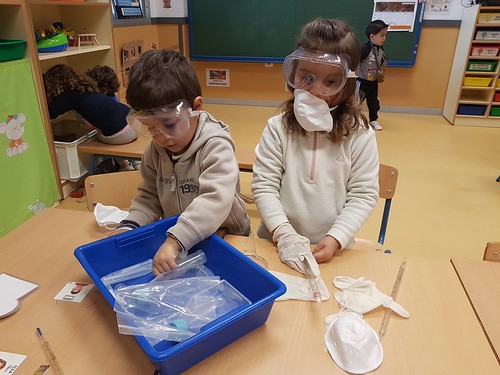 Colegio El Palmarillo Proyecto científico sobre el suelo
