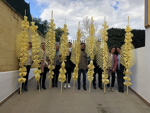 Palmas para la Hermandad de la Borriquita