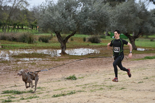 Segunda edición del a Canicross Bikejoring/Patín