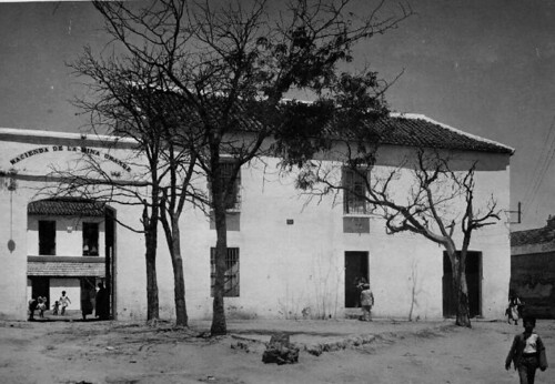 1882. ¿Un manicomio en Dos-Hermanas?