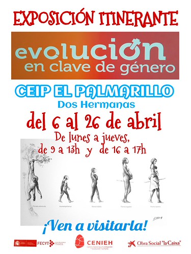 Cartel exposición Evolución en clave de género en el Colegio El Palmarillo