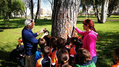 Gymkhana Verde en el Parque de La Alquería