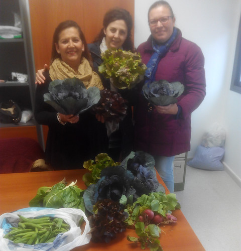 IES Alvareda primera recolección de su huerto escolar para Cáritas