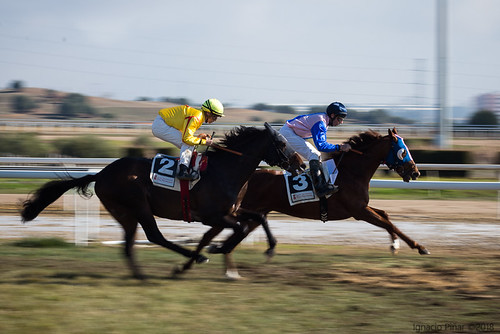 Carreras de caballos temporada de primavera hipódromo