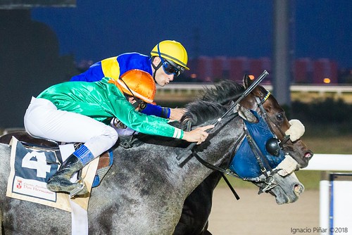 Carreras de caballos nocturna en el hipódromo