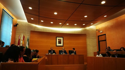 Pleno extraordinario del Ayuntamiento de Dos Hermanas