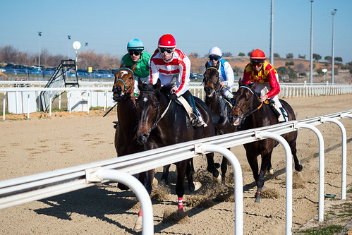Carreras de caballos en el hipódromo de Dos Hermanas