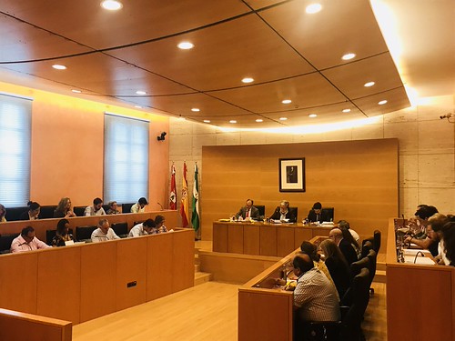 Pleno ordinario del mes de mayo en el ayuntamiento de Dos Hermanas
