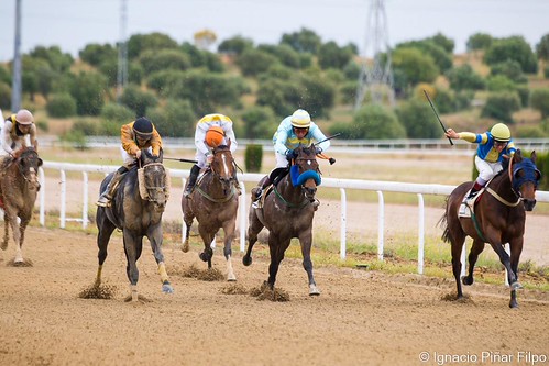 Última jornada de carreras de caballos de la temporada de primavera