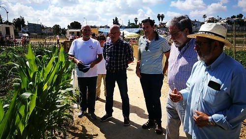Inauguración huertos urbanos de Montequinto